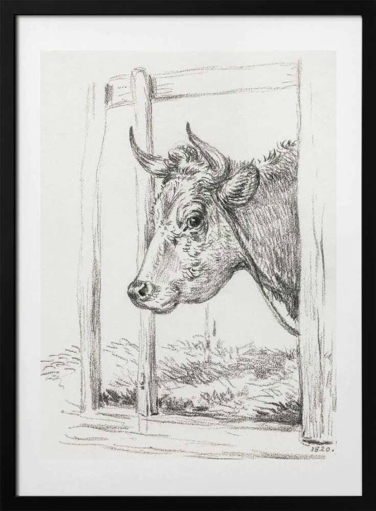 Head of a Cow (1820) - Art Print by Jean Bernard