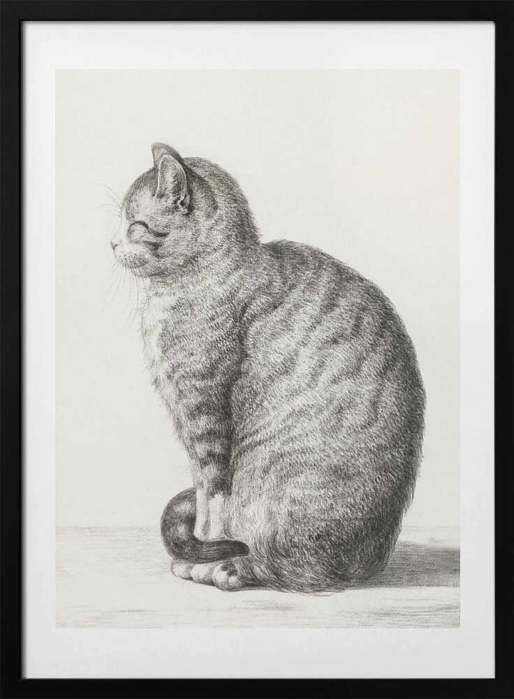Sitting Cat (1815) - Art Print by Jean Bernard