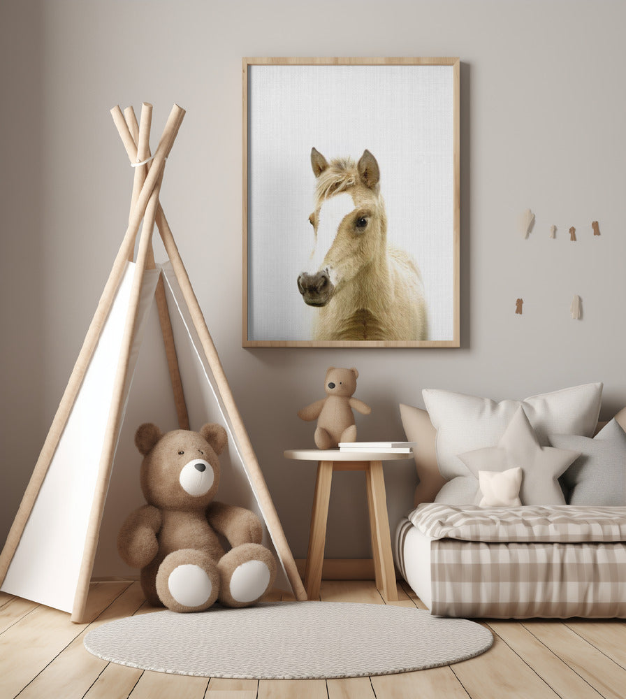 Peekaboo Foal - Art Print by Lola Peacock