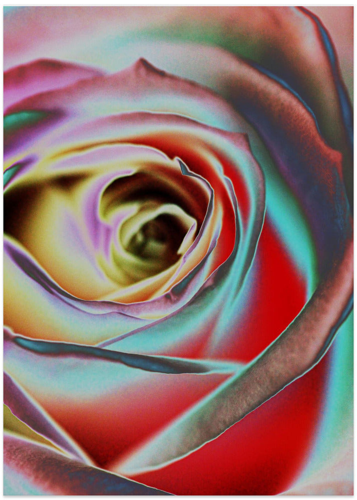 Rose - Art Print by Andre Koenig