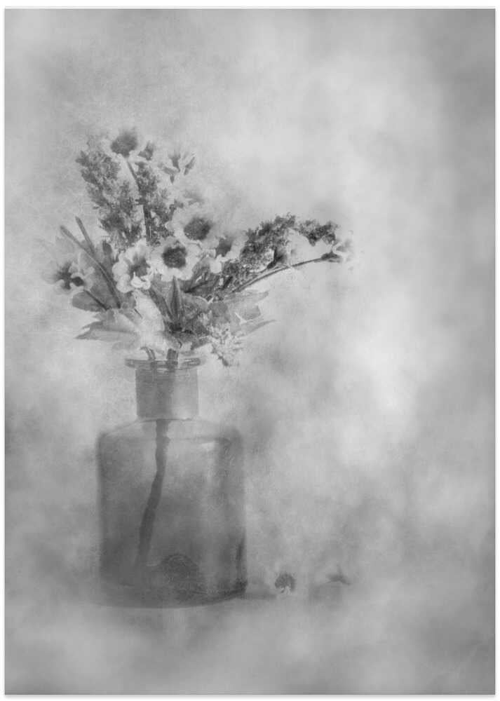 Dreamy Black and White Flowers - Art Print by Cicek Kiral