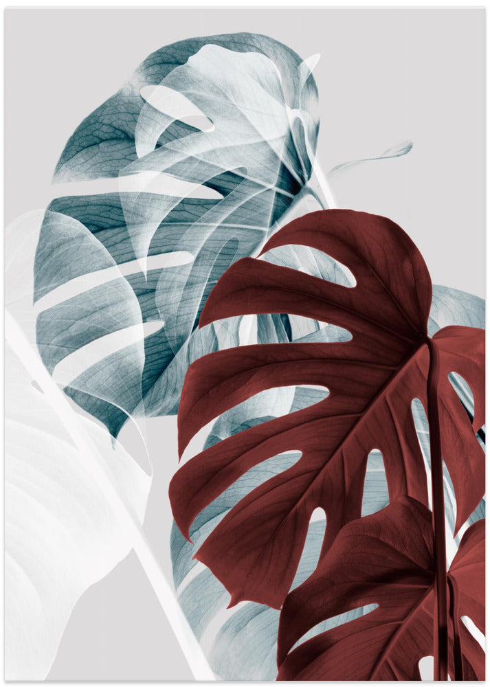 Monstera Creative 18 - Art Print by Pictufy Studio III