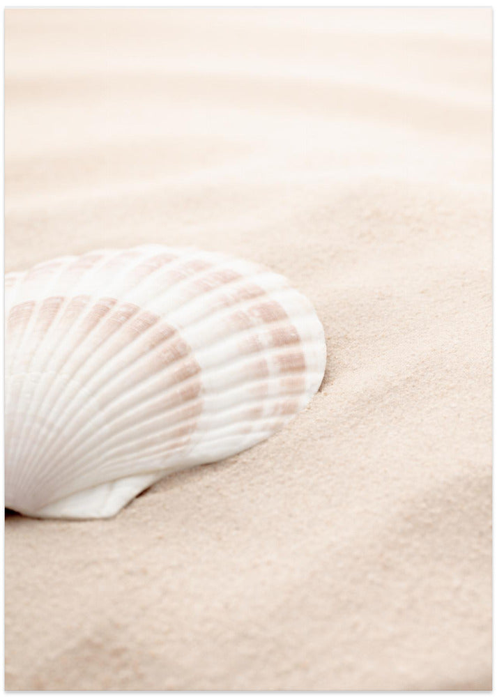 Shell_3 - Art Print by Pictufy Studio III