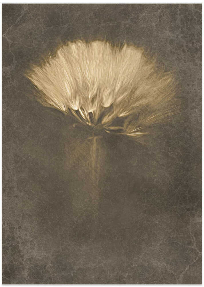 Soft Dandelion Dream - Art Print by Cicek Kiral
