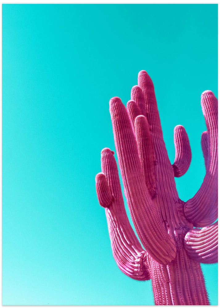 Magenta Pink Saguaro - Art Print by Tom Windeknecht