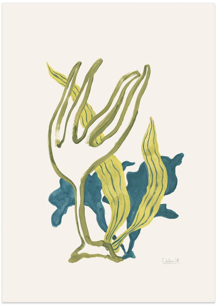 Algae No2 - Art Print by Catalina Somolinos