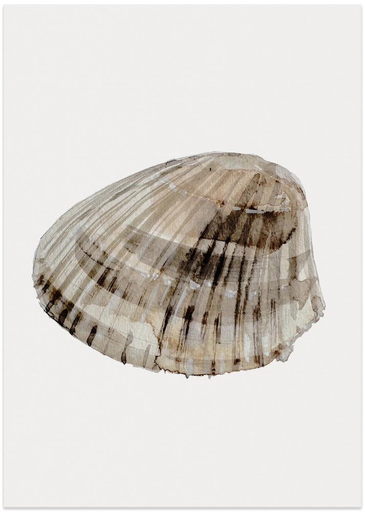 Seashell Serenity - Art Print by Treechild