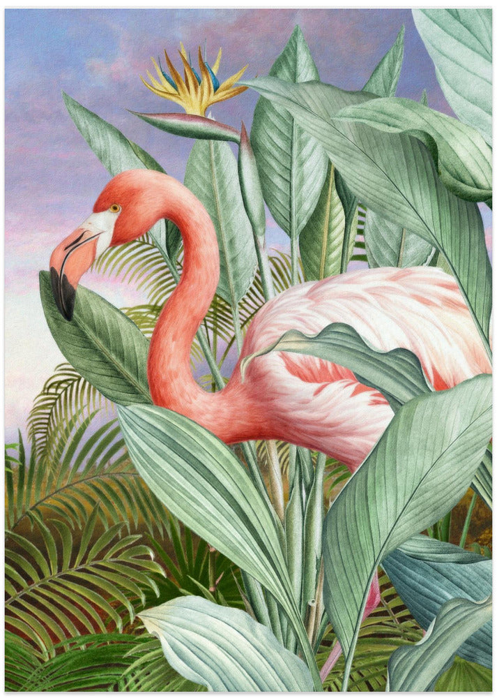 Flamingo Serenity - Art Print by Marja van den Hurk