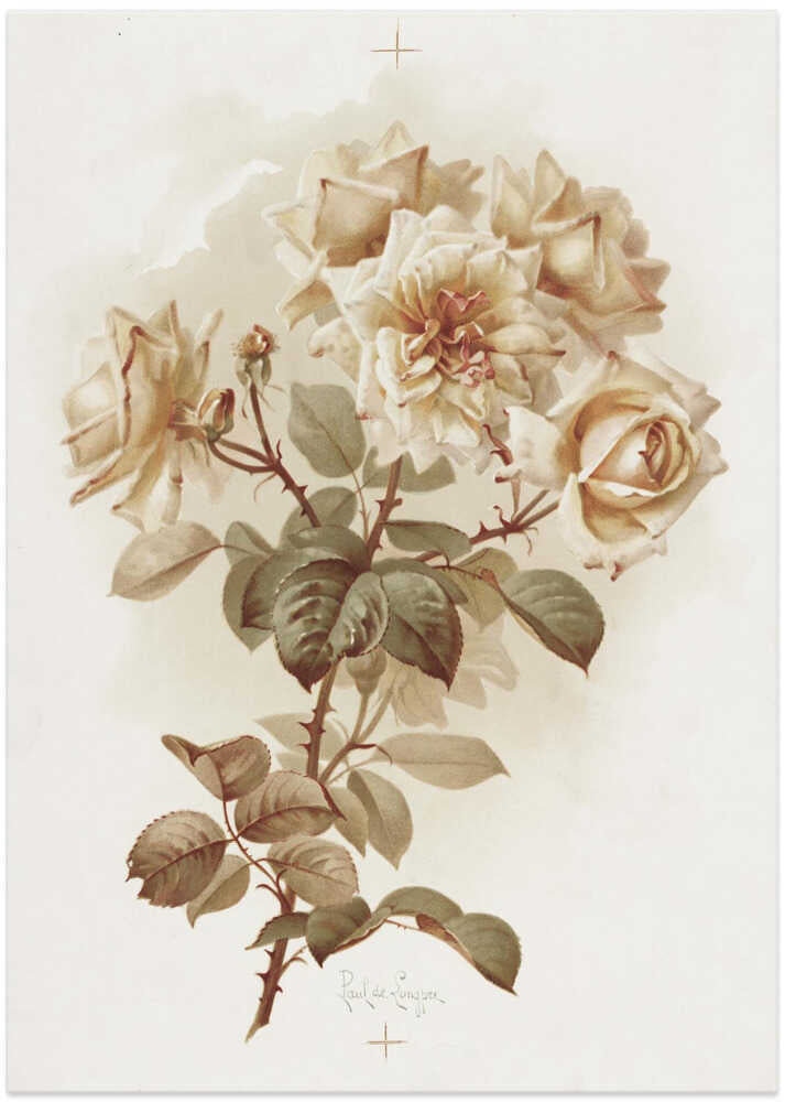 Yellow Roses; Reve D'or Roses - Art Print by Pictufy