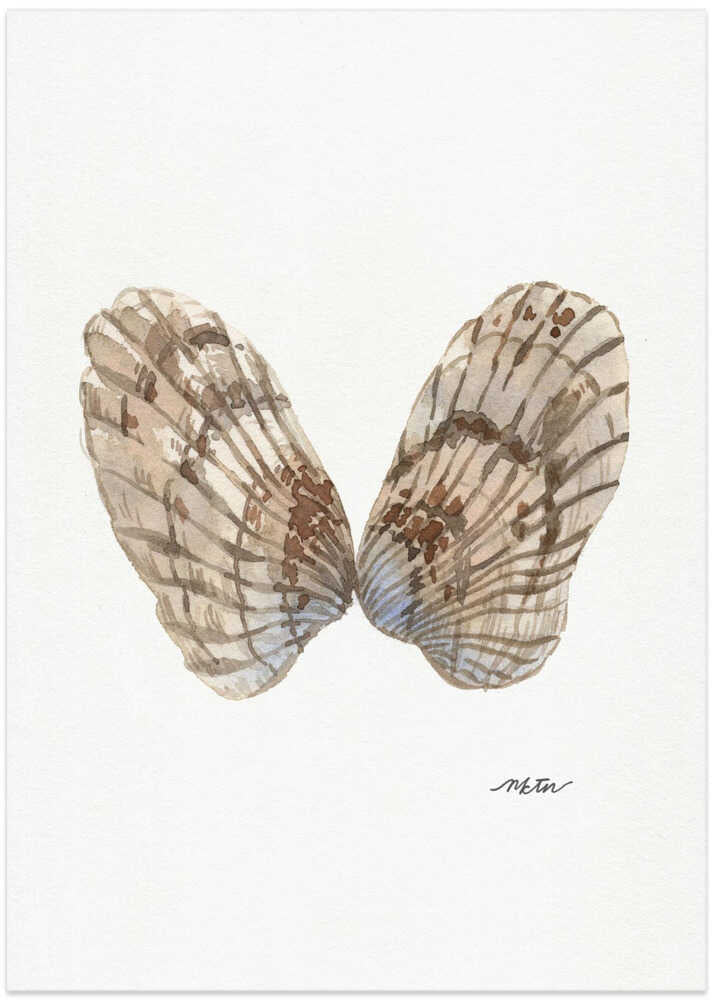 Watercolor Oyster Shells - Art Print by NKTN