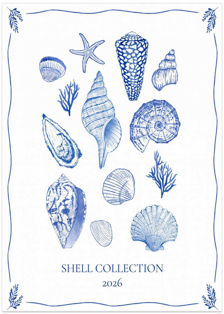 Coastal Shells Gathering - Art Print by Donaugh Austin