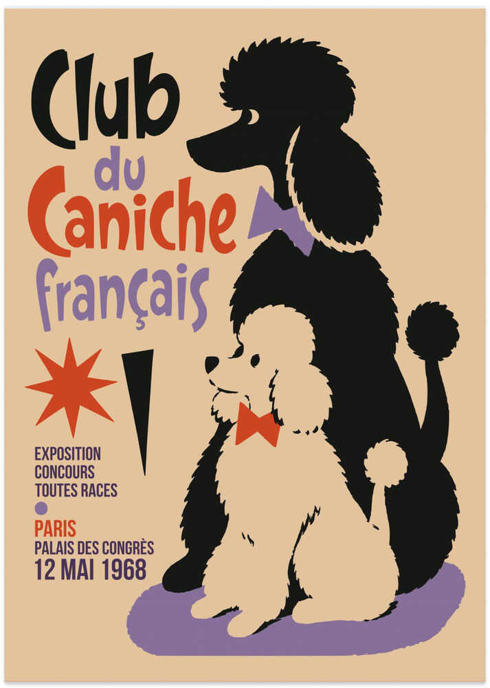 Elegant French Poodles - Art Print by Patryk Krygowski