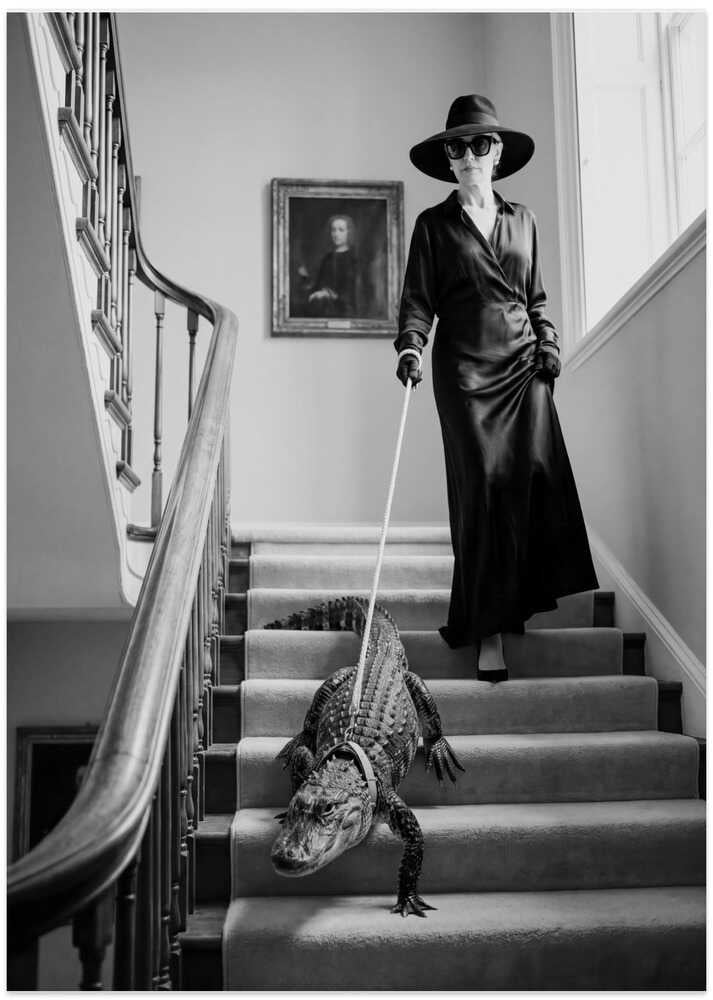 Elegant Alligator Staircase - Art Print by Andreas Magnusson