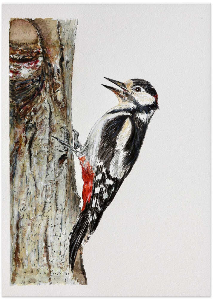 Spotted Woodpecker Perched - Art Print by Marina Kozyr