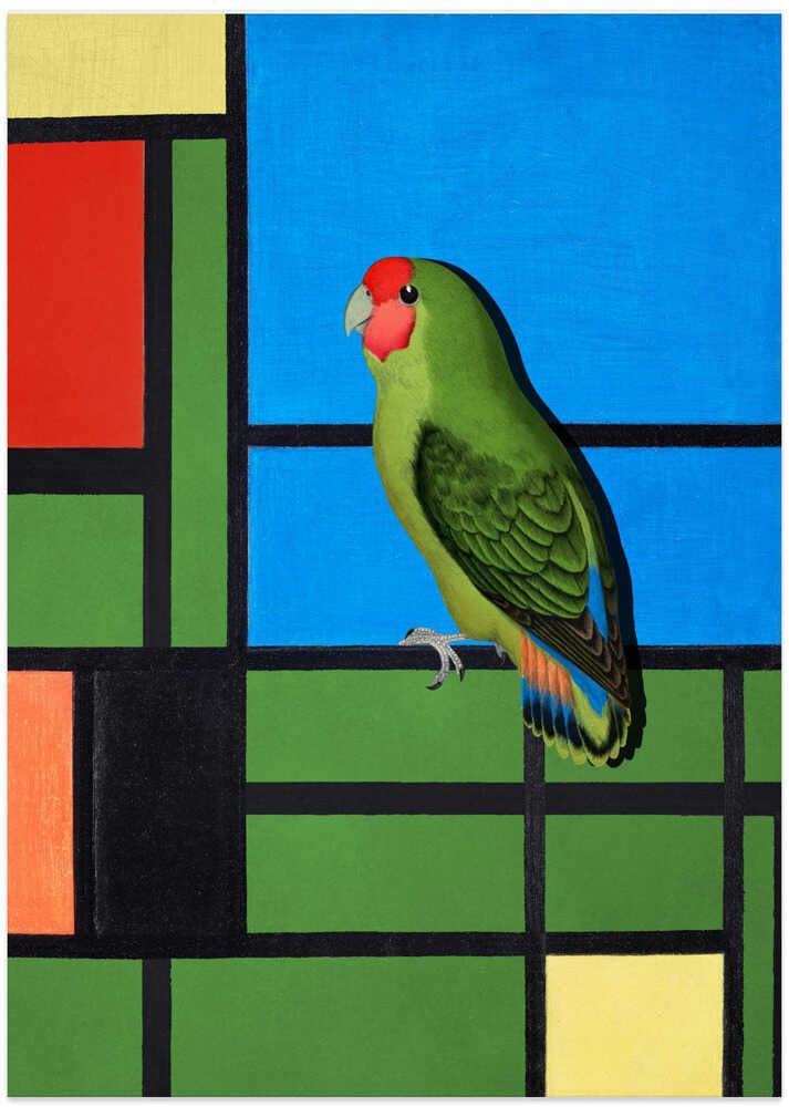 Colorful Geometric Parrot - Art Print by Marja van den Hurk