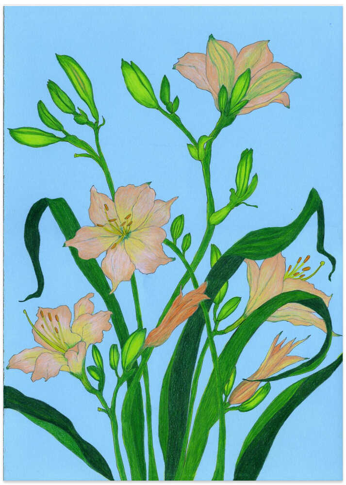 Soft Peach Blooms - Art Print by Viktoriia Saunina