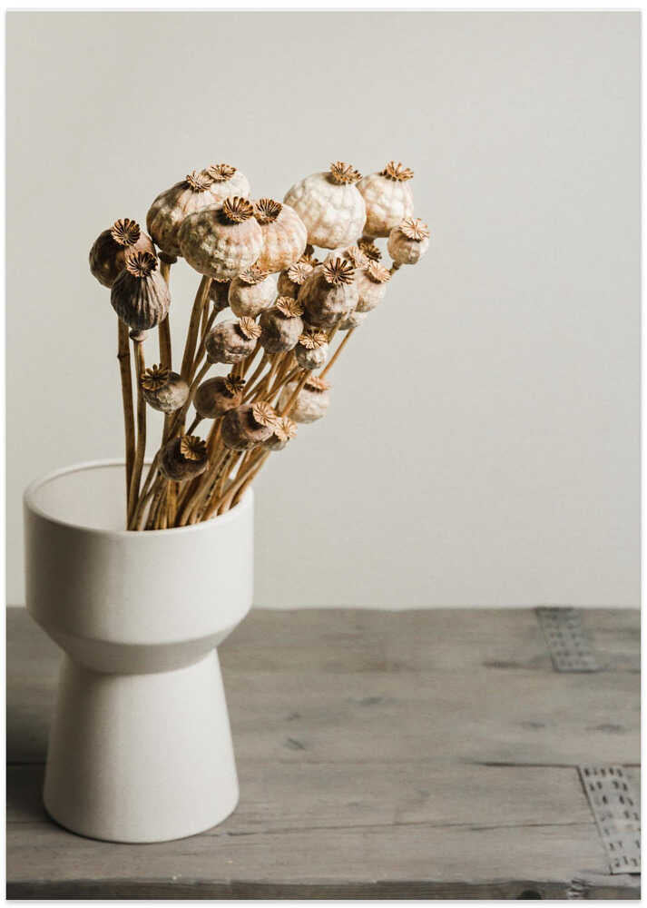 Natural Poppy Pods Vase - Art Print by Mayra Pama