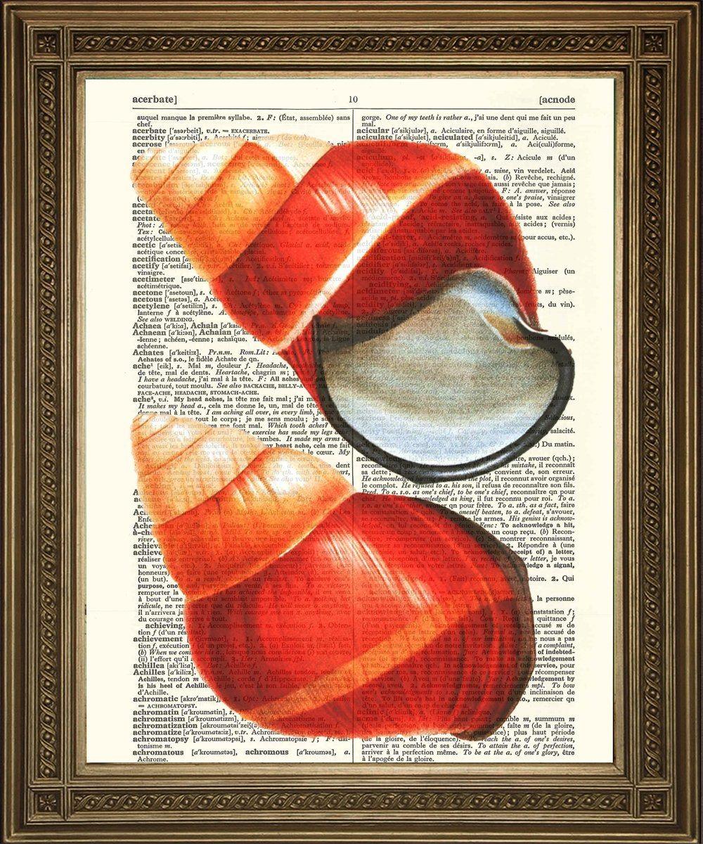 RED SEA SHELL: Vintage Dictionary Print Art - Pimlico Prints