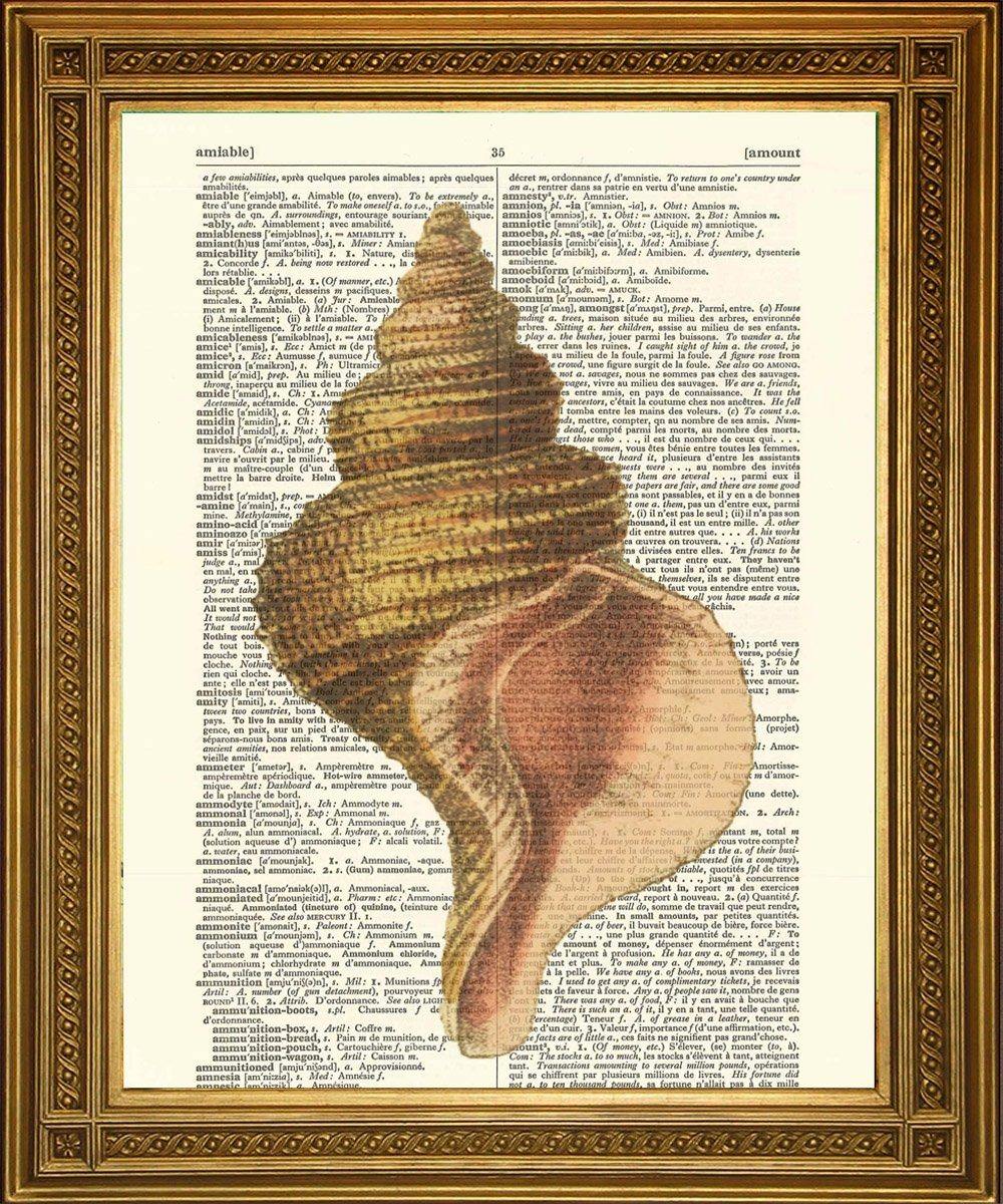 CONCH SHELL PRINT: Vintage Dictionary Seaside Art - Pimlico Prints