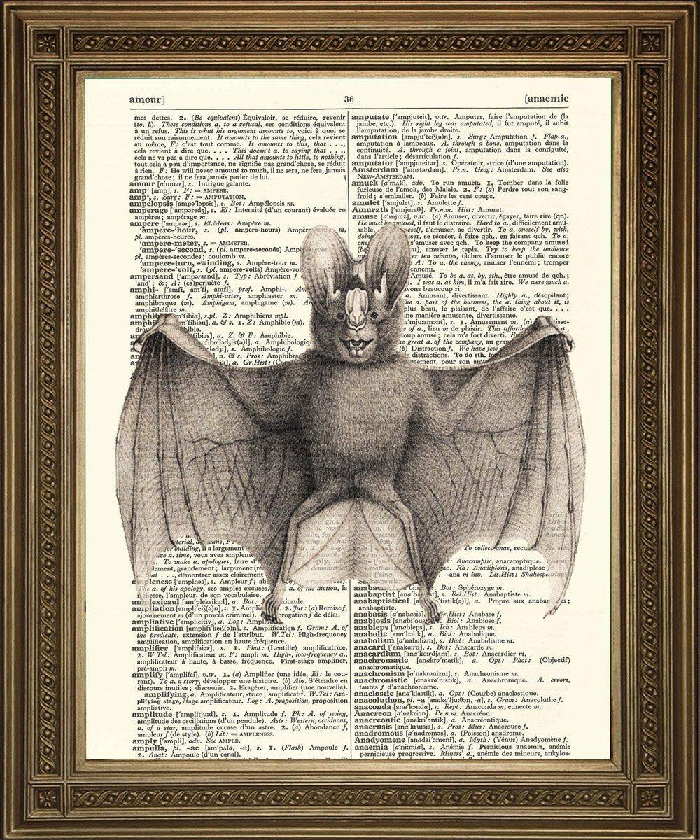 BAT DICTIONARY ART Print: Vampire Bat Vintage Illustration - Pimlico Prints
