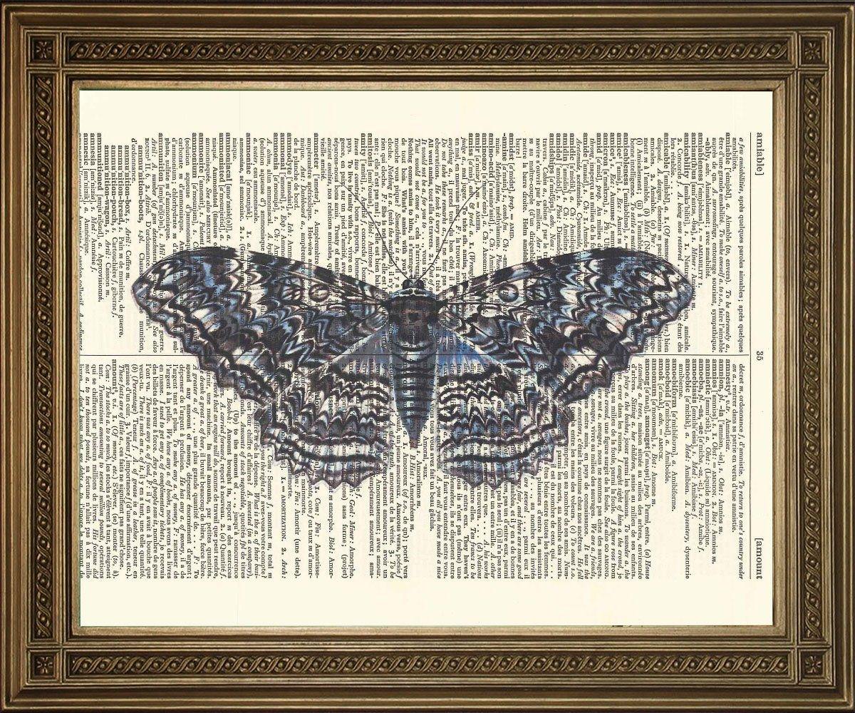 BLUE MOTH PRINT: Vintage Dictionary Art - Pimlico Prints