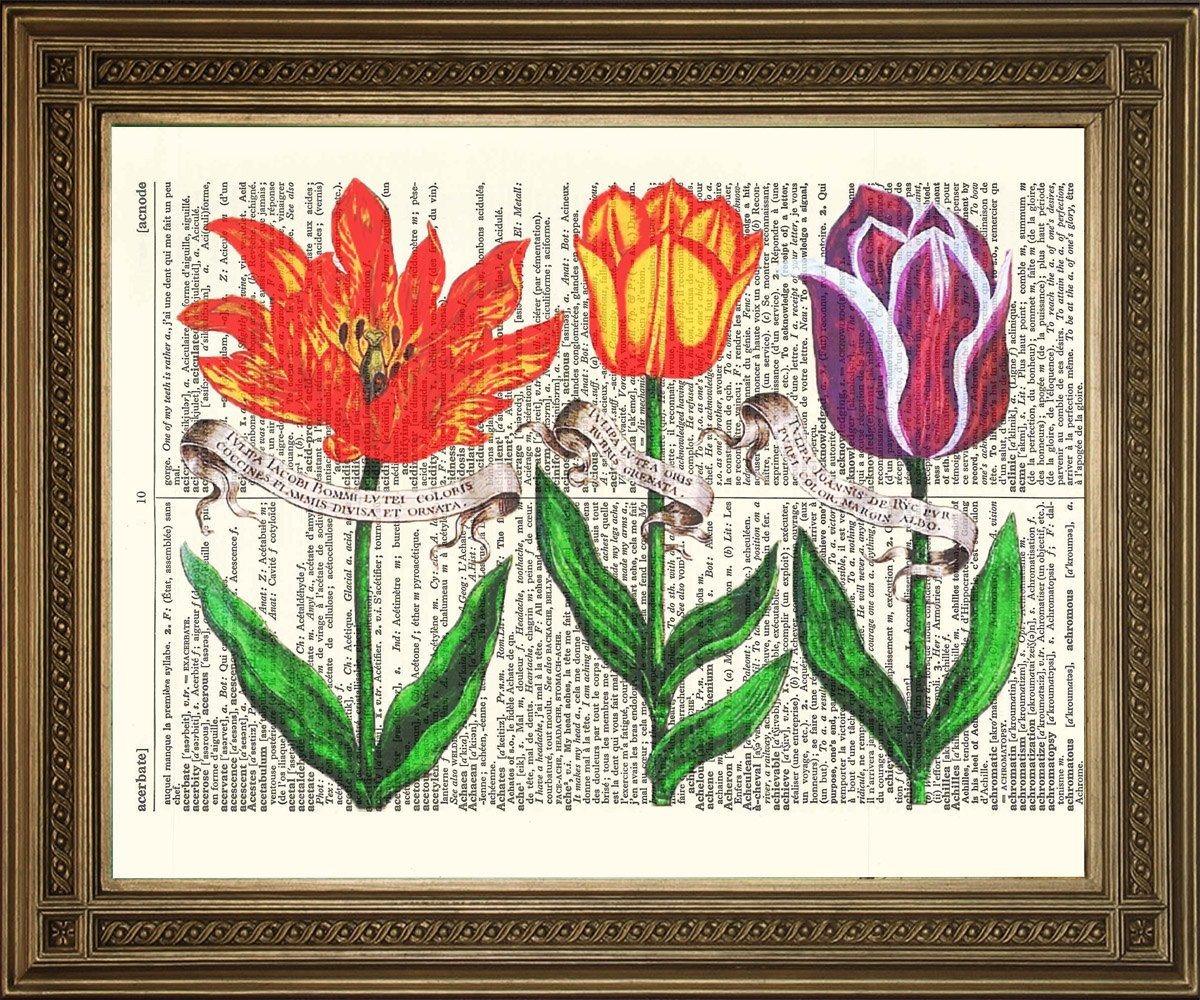 TULIP FLOWERS Vintage Dictionary Page Art Print Pimlico Prints tulip-flowers-vintage-dictionary-page-art-print-pimlico-prints
