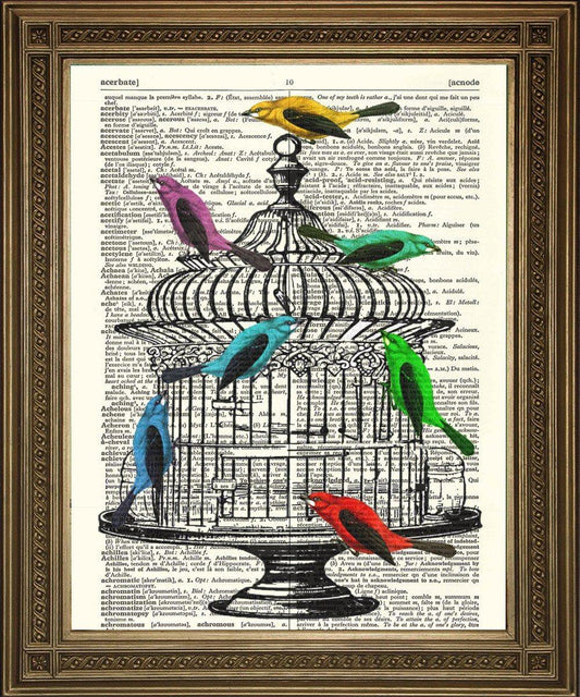 BIRDCAGE & BIRDS: Vintage Dictionary Book Page Art - Pimlico Prints