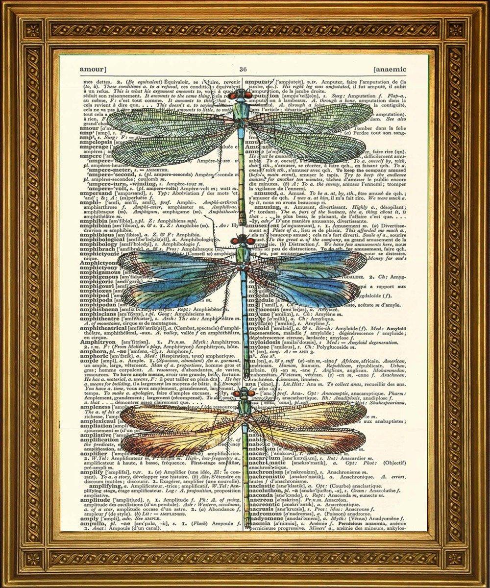 DRAGONFLIES PRINT: Original Vintage Dictionary Art - Pimlico Prints
