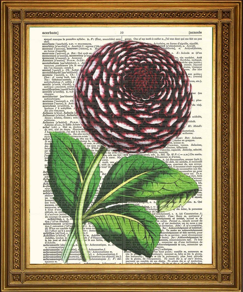 ROSE & DAHLIA PRINTS: Pink & Purple Flowers Dictionary Art - Pimlico Prints