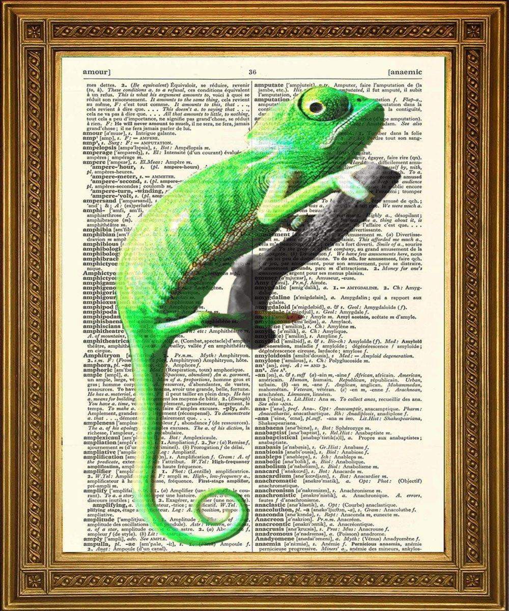 DICTIONARY ART CHAMELEON: 'I've Got My Eye on You' Print - Pimlico Prints