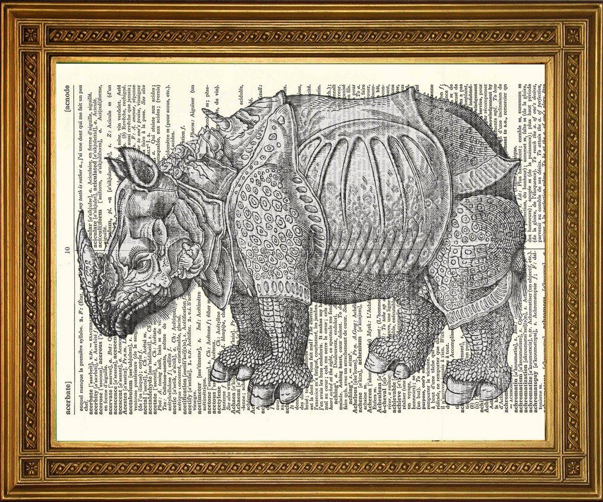 DURER'S RHINOCEROS PRINT: Vintage Dictionary Art - Pimlico Prints