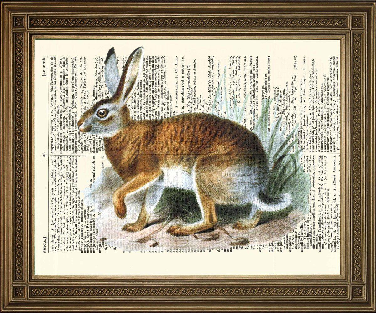 WILD HARE PRINT: Vintage Dictionary Page Art Illustration - Pimlico Prints