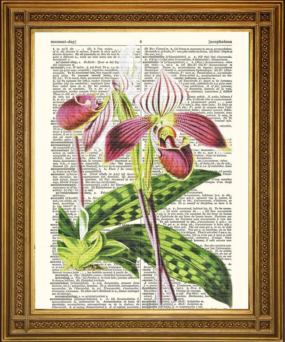 ORCHID FLOWER PRINTS: Dictionary Page Vintage Art - Pimlico Prints