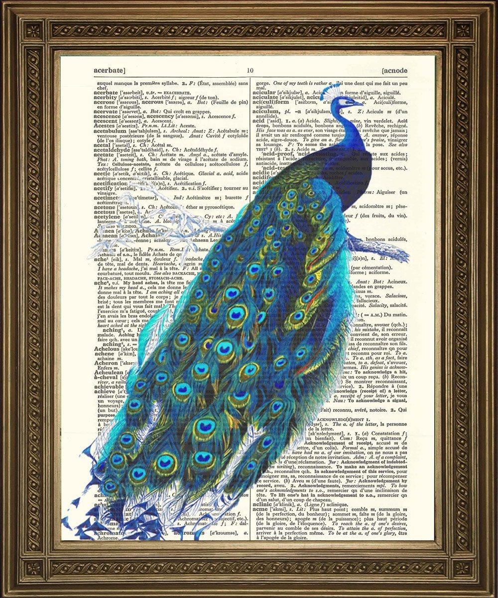 PEACOCK BIRD PRINT: Victorian Illustration Dictionary Art - Pimlico Prints