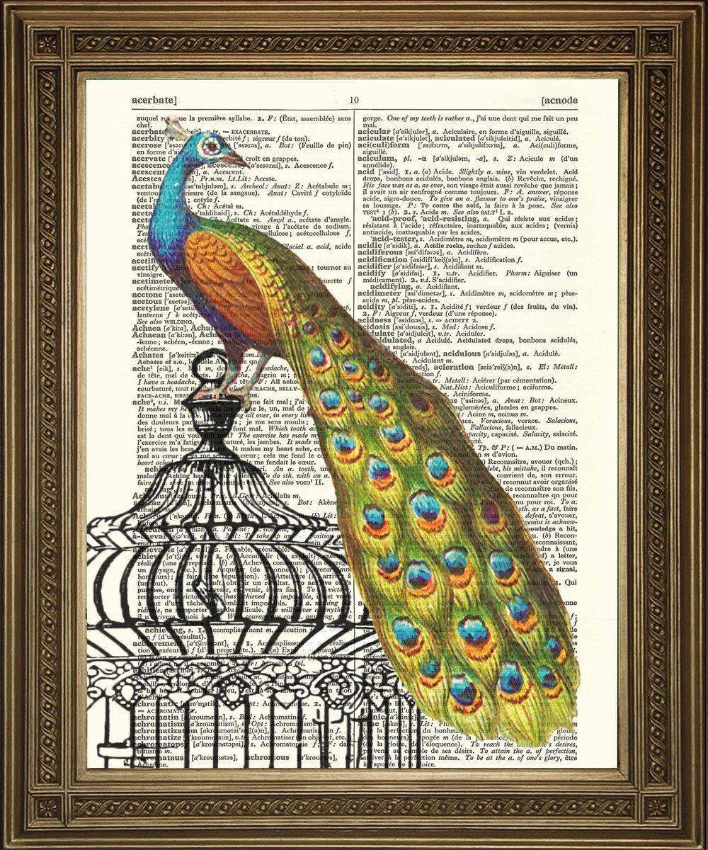 PEACOCK PRINT: Vintage Art Dictionary Page - Pimlico Prints