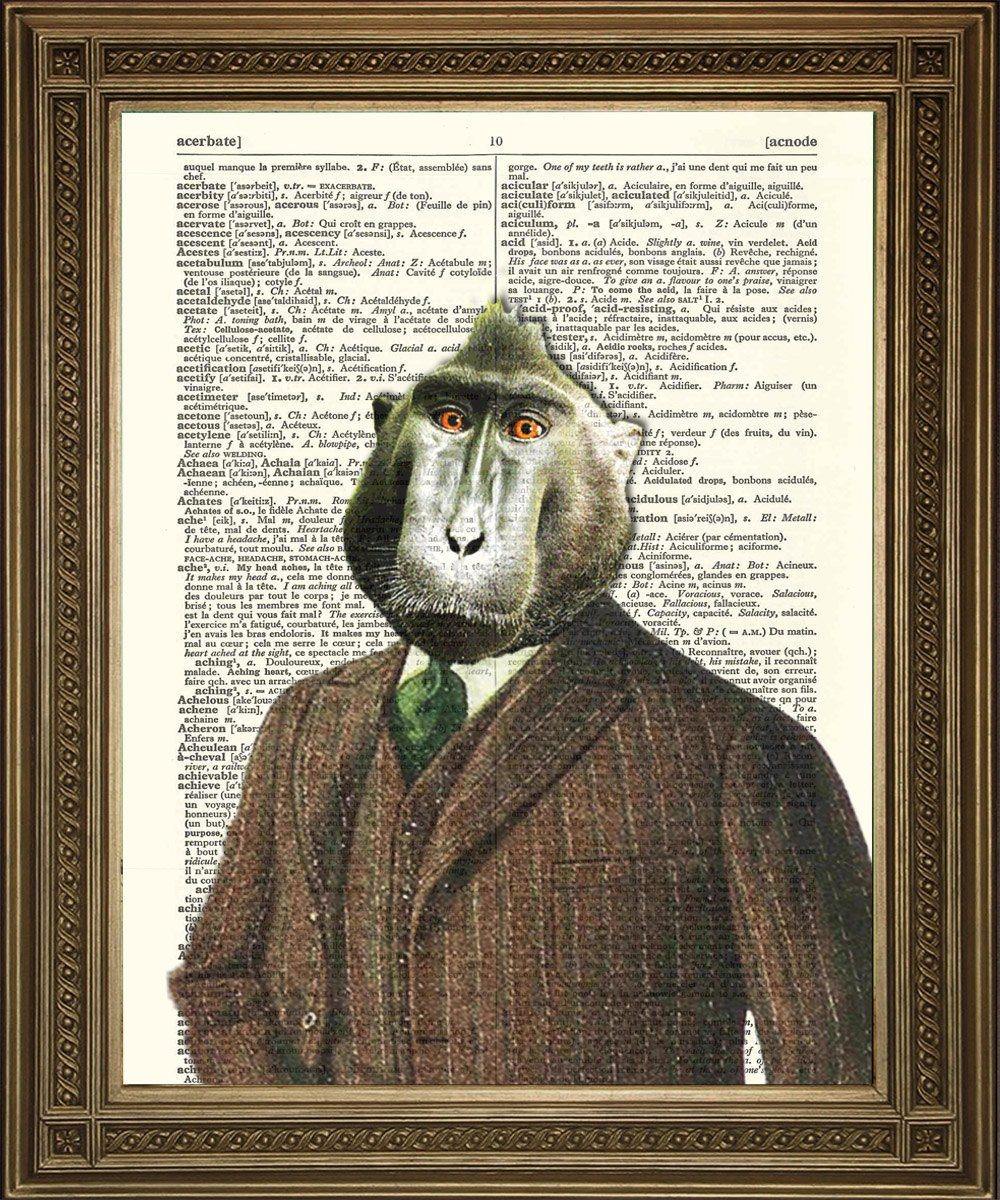BABOON Dictionary Print: Fun Vintage Wall Decor - Pimlico Prints