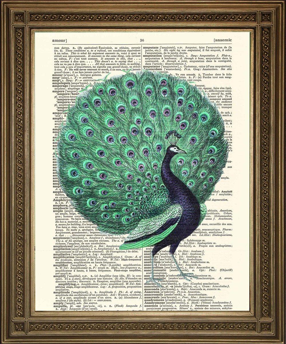 TURQUOISE PEACOCK ART: Vintage Bird Art Dictionary Print - Pimlico Prints