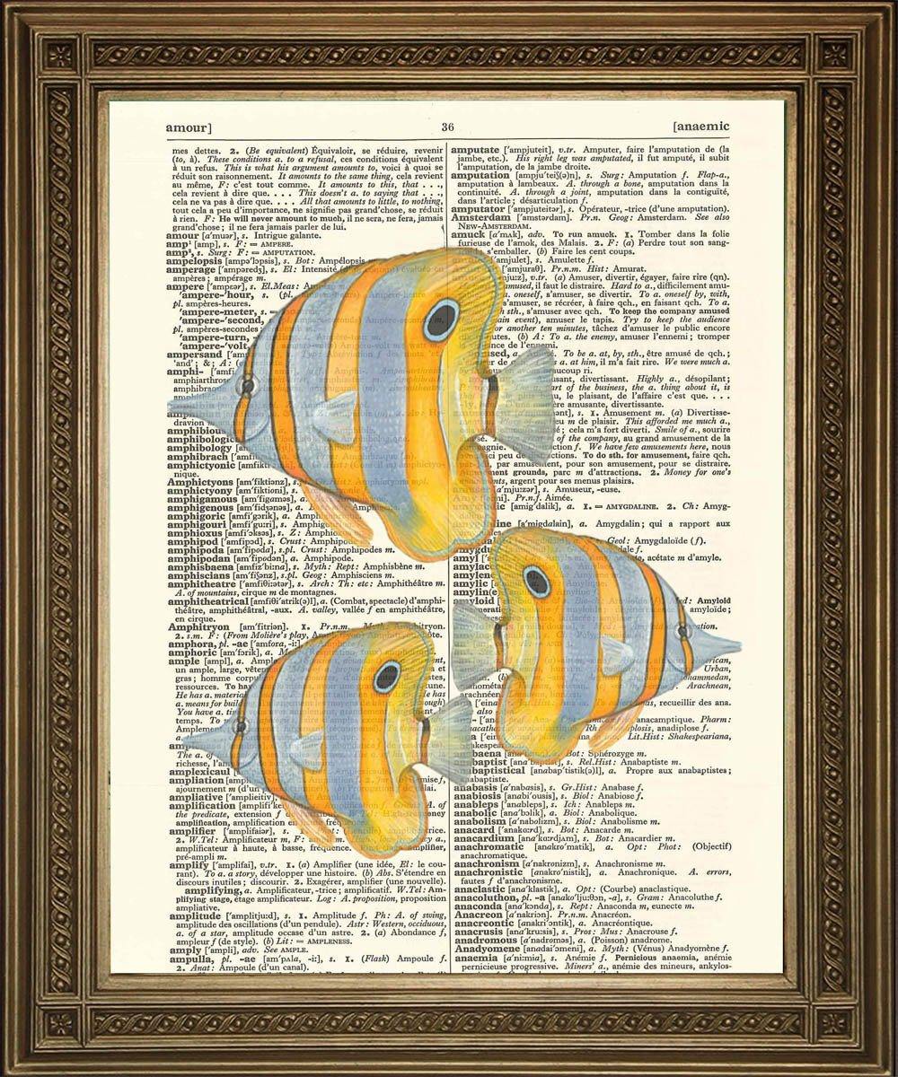 EXOTIC TROPICAL FISH ART: Choice of Fish - Dictionary Prints - Pimlico Prints