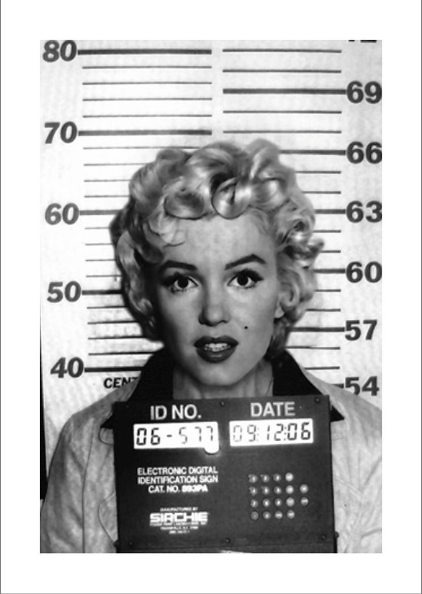 CELEBRITY MUGSHOTS: Poster Art Prints of Famous Felons Arrested by Police