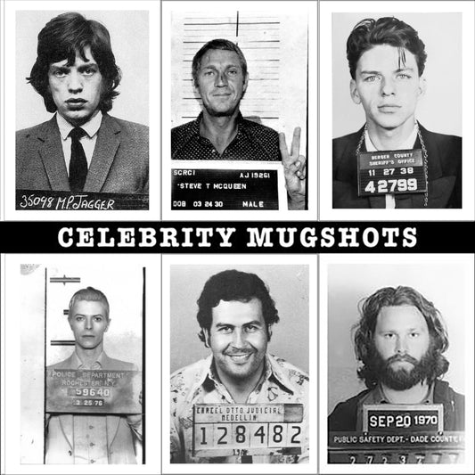 CELEBRITY MUGSHOTS: Poster Art Prints of Famous Felons Arrested by Police