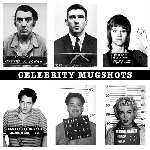 CELEBRITY MUGSHOTS: Poster Art Prints of Famous Felons Arrested by Police