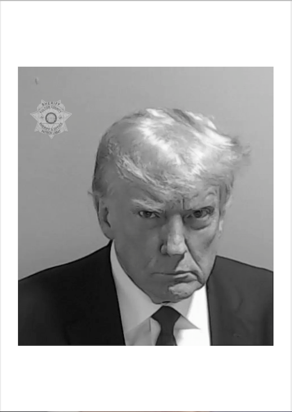 CELEBRITY MUGSHOT: Donald Trump Print