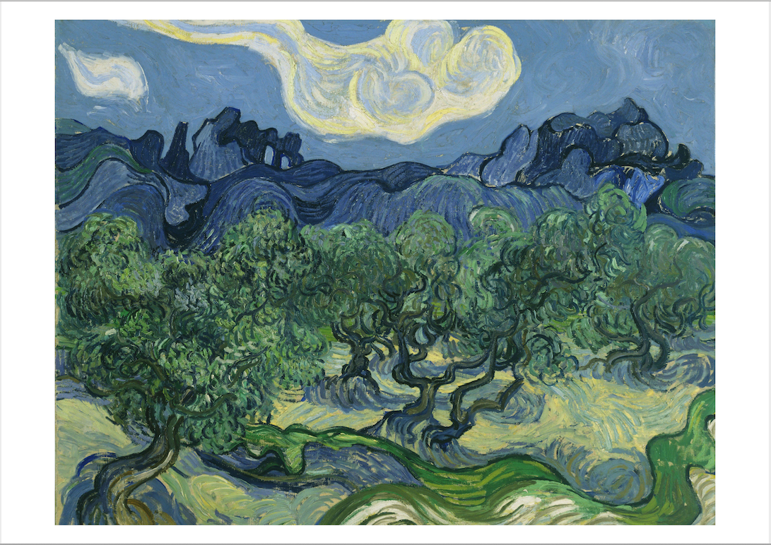 VAN GOGH PRINT: Olive Trees with The Alpilles in the Background, 1889, Fine Art Print
