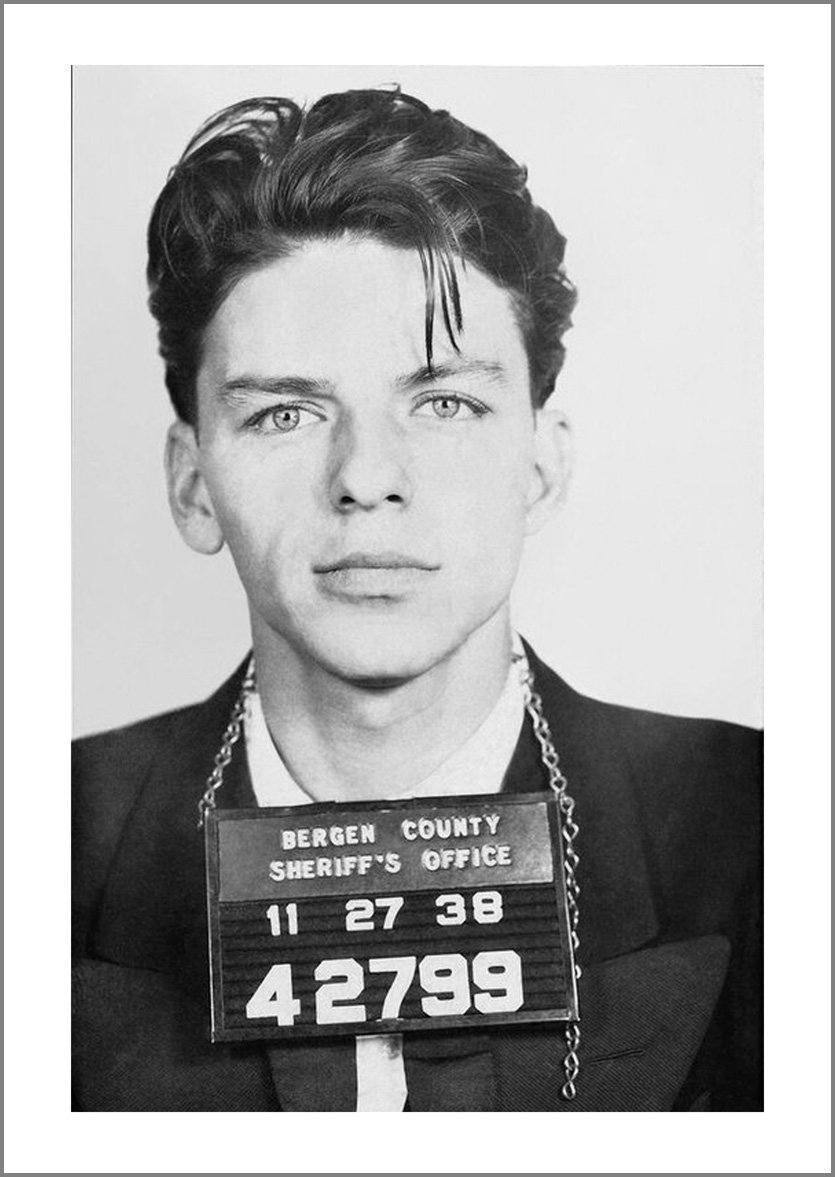 CELEBRITY MUGSHOTS: Poster Art Prints of Famous Felons Arrested by Police