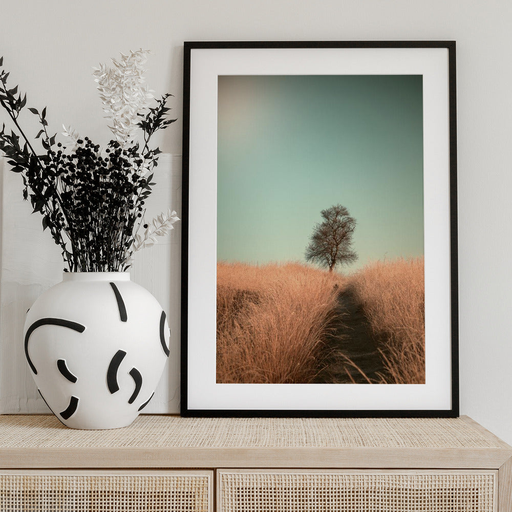Grass and Path - Art Print by Jaap van den Helm