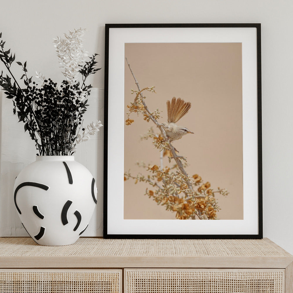 Scrub Warbler - Art Print by Shlomo Waldmann