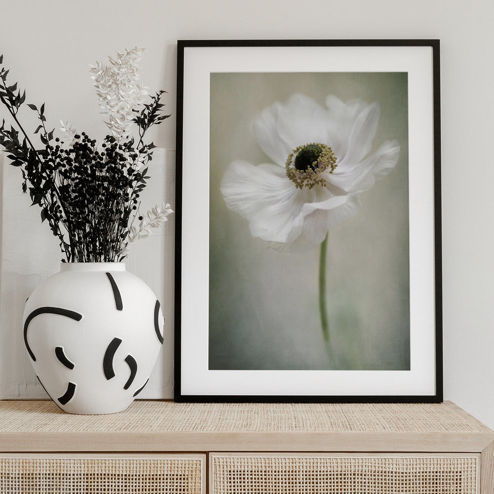 Single White - Art Print by Jacky Parker