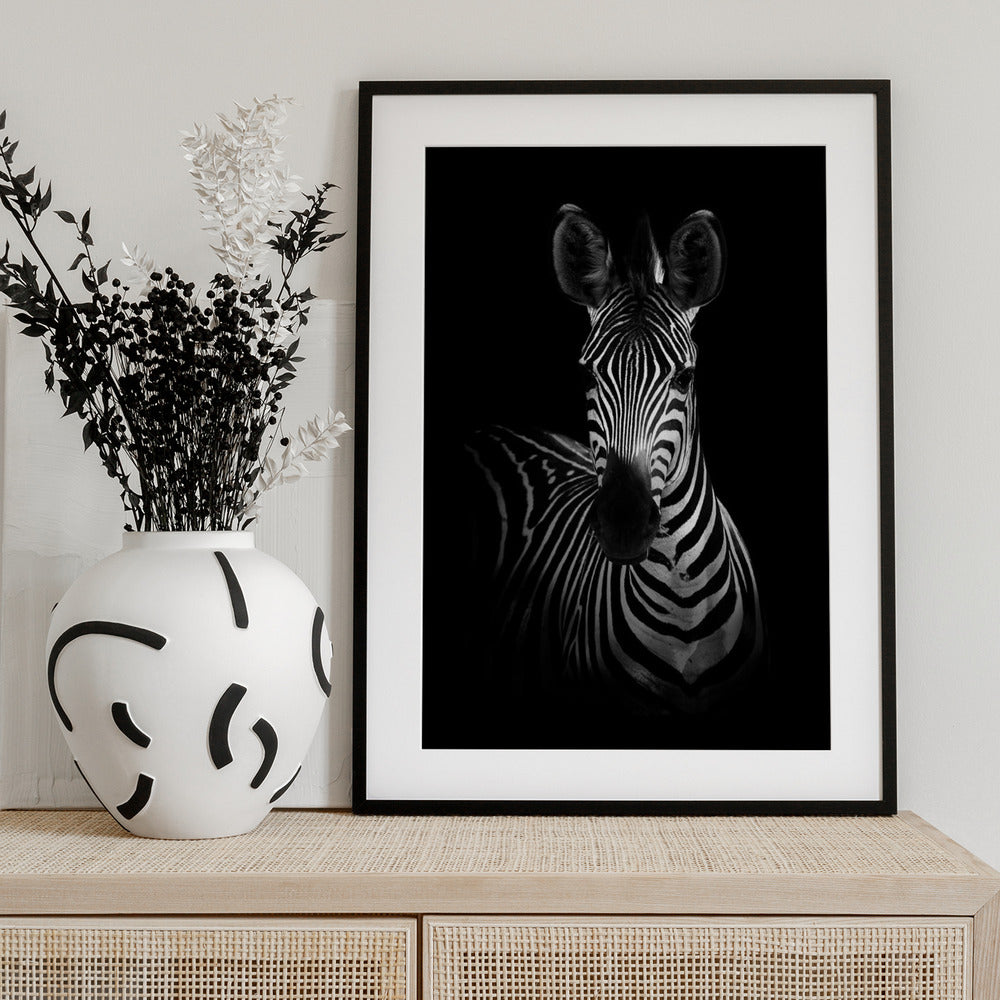 The Zebra - Art Print by WildPhotoArt