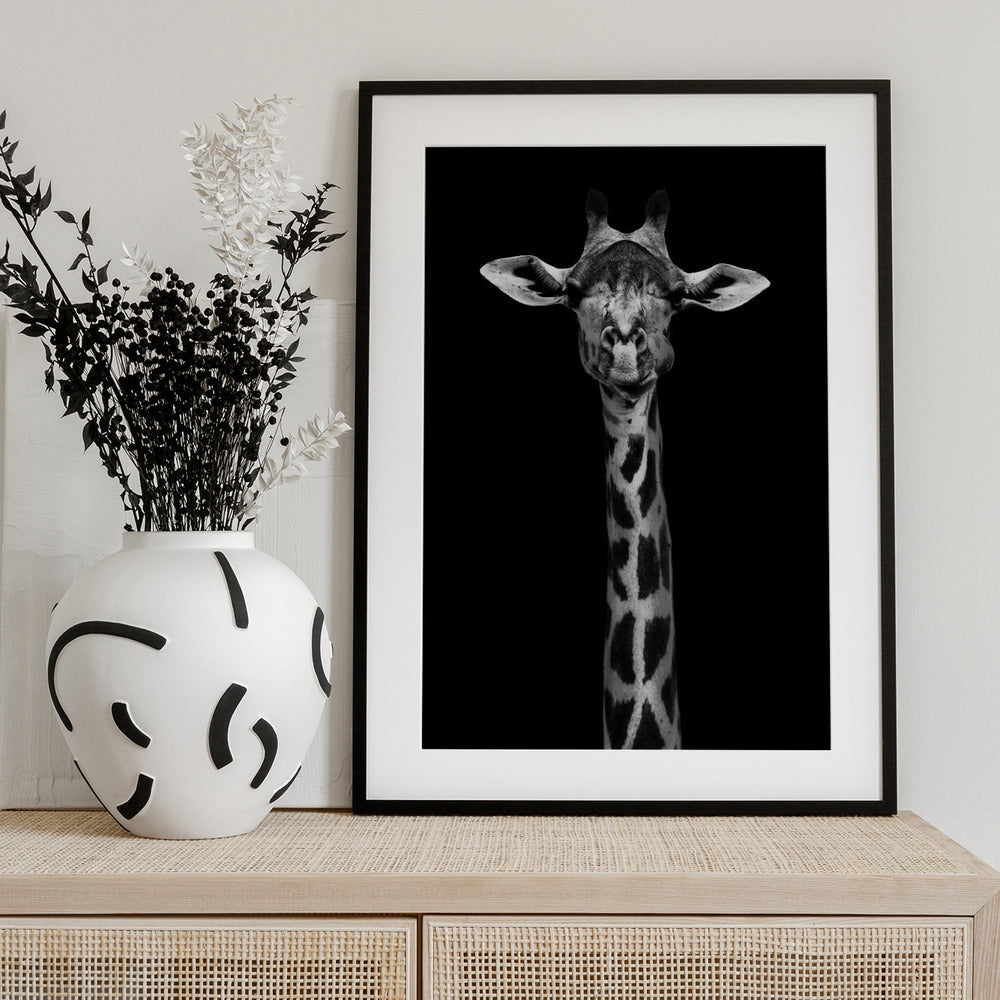 Giraffe Portrait - Art Print by WildPhotoArt