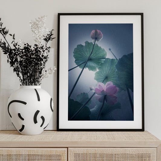 Lotus - Art Print by Shanyewuyu